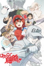 Hataraku Saibou!! Season 2